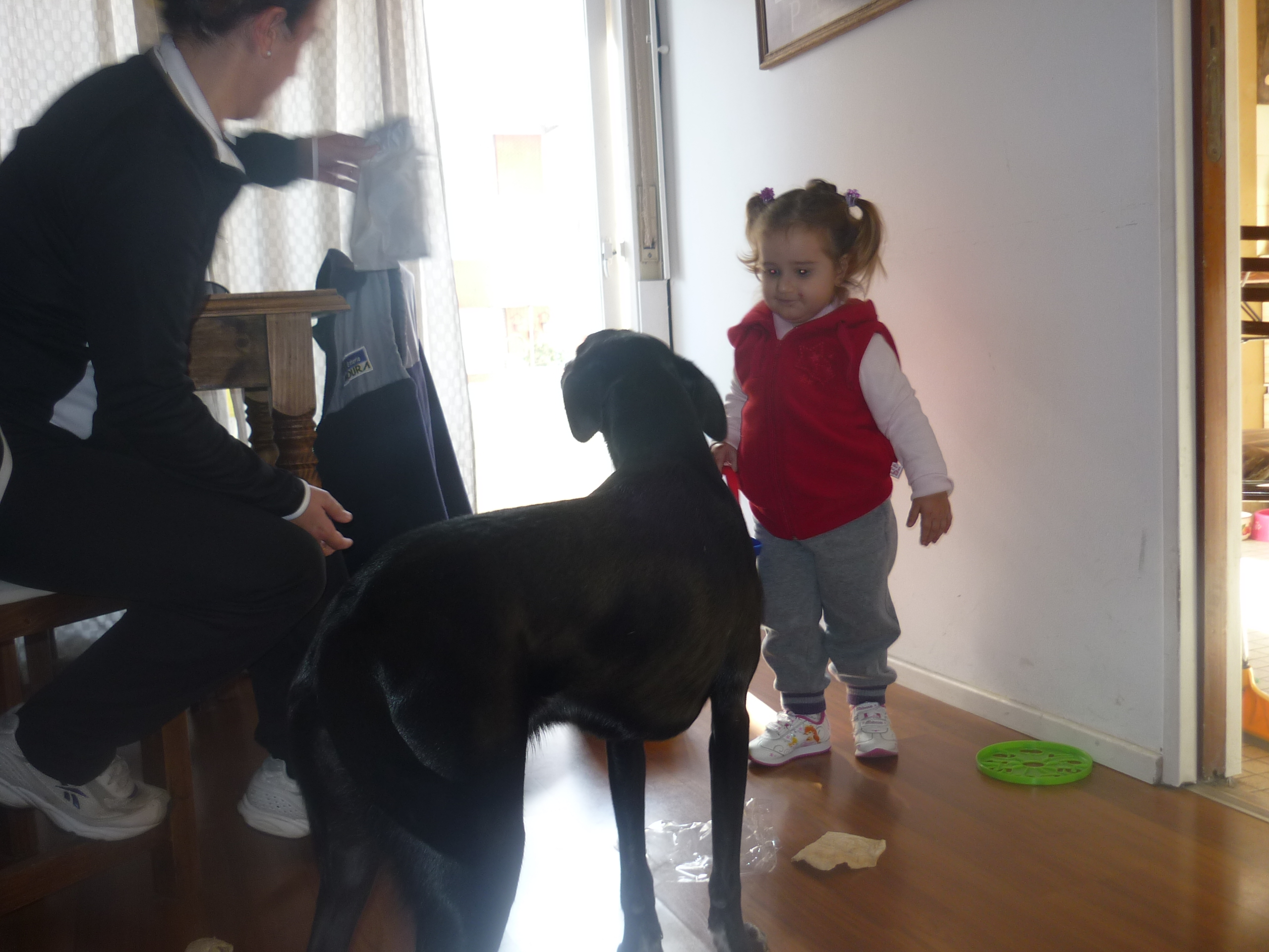 fotos/2012-06-16 - Rosario/P1020767.JPG